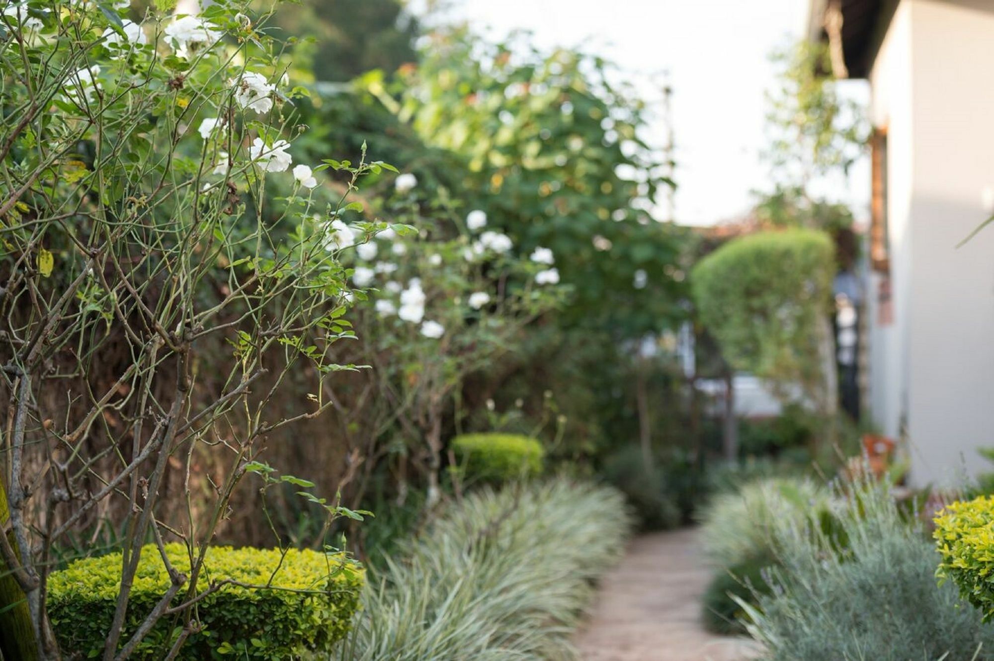 Jean-Lee Bed And Breakfast Pietermaritzburg Exterior foto