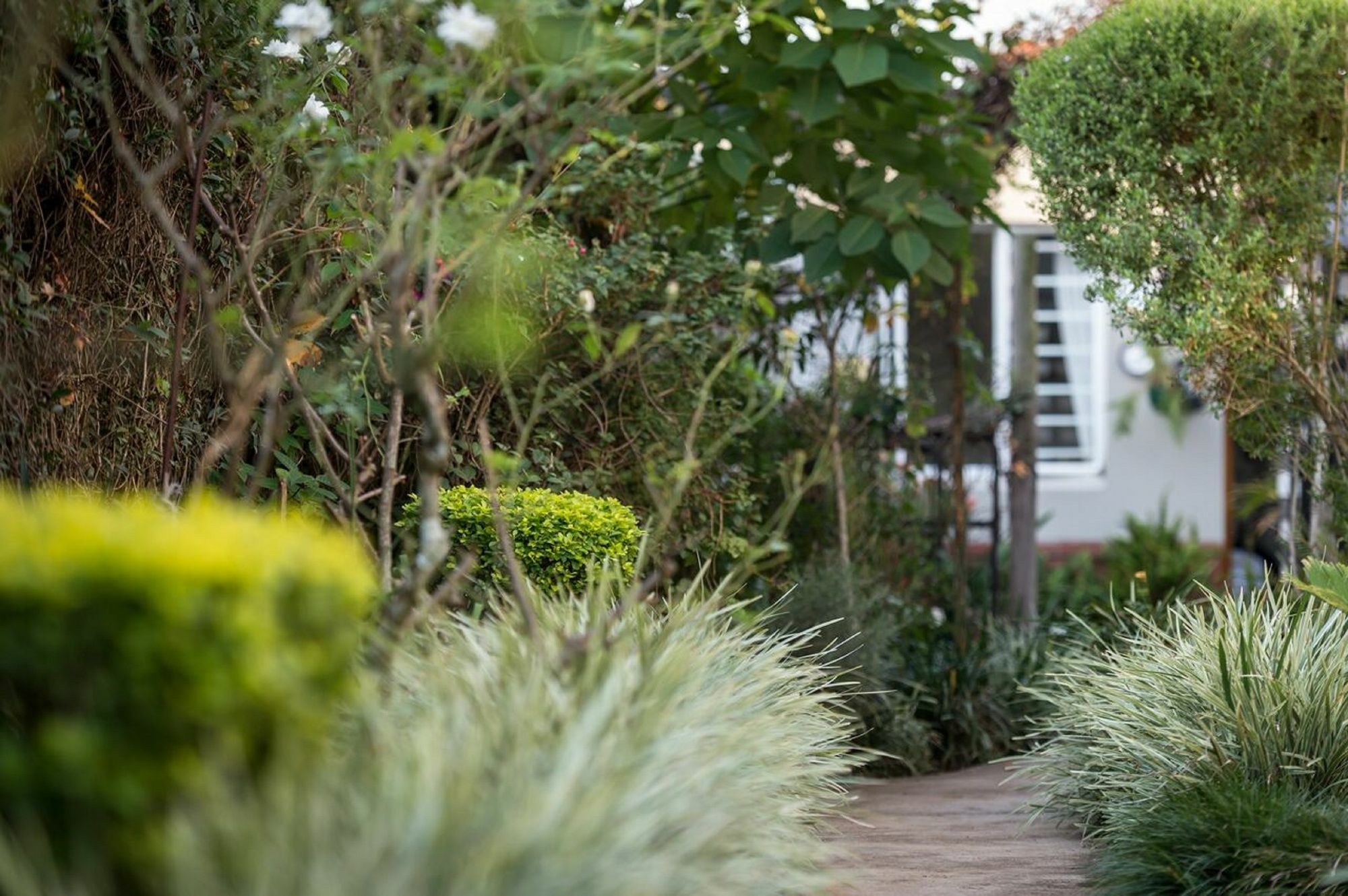 Jean-Lee Bed And Breakfast Pietermaritzburg Exterior foto